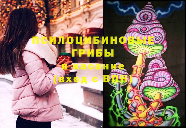 мдпв Куйбышев