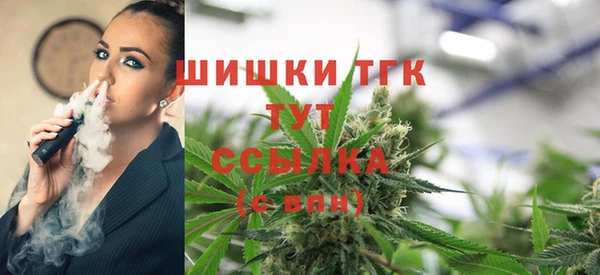 амф Кукмор