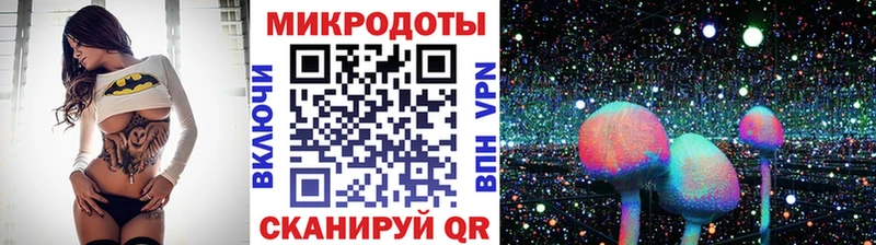 Купить  Курчатов  Псилоцибиновые грибы Cubensis 